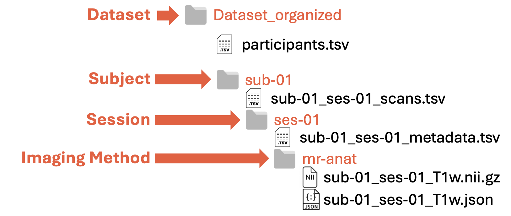 ORMIR-MIDS folder structure